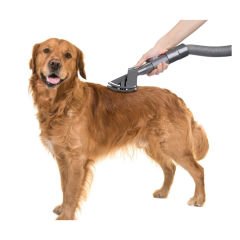 Dyson V7 V8 V10 V11 V15 Uyumlu Pet Başlığı Evcil Hayvan Bakım Aparatı